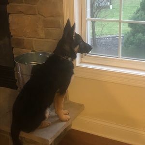 Meet your Posher, Jeff